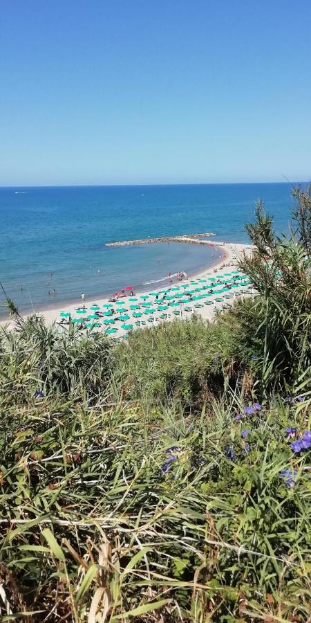 Affittacamere Monolocali E Stanze In A 350 Mt Libera Lido Delle Sirene 2*