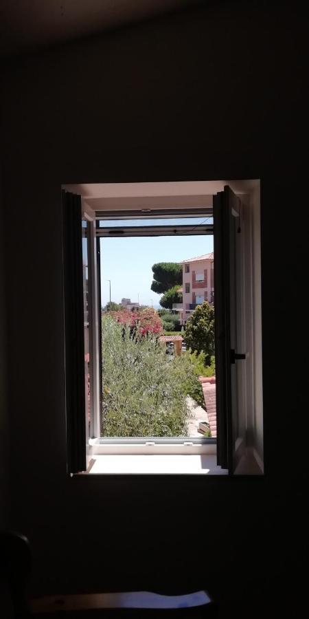 Affittacamere Monolocali E Stanze In A 350 Mt Libera Lido Delle Sirene 2*