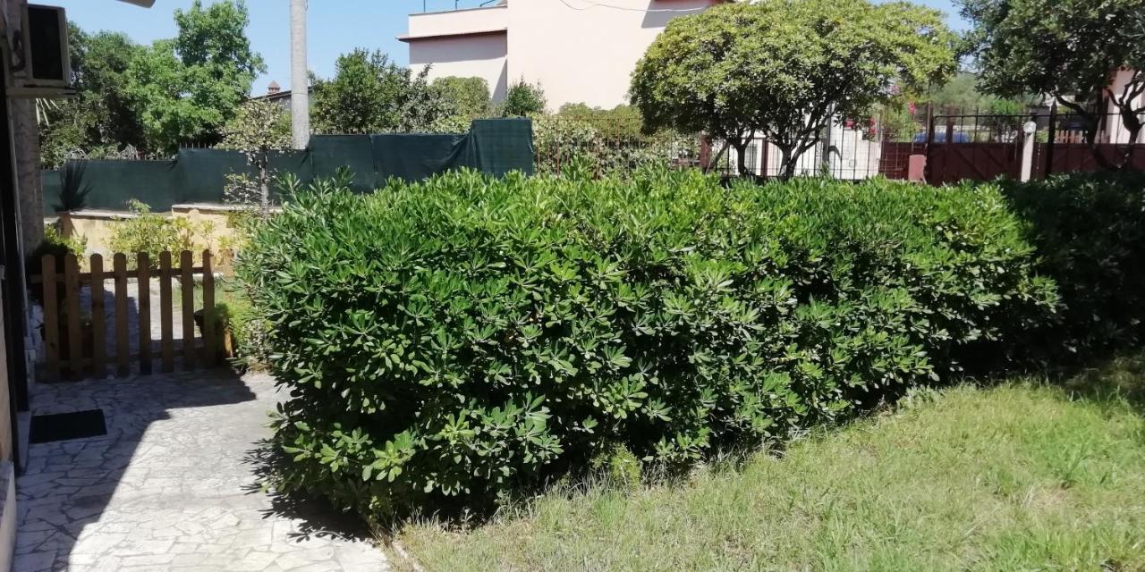 Affittacamere Monolocali E Stanze In A 350 Mt Libera Lido Delle Sirene