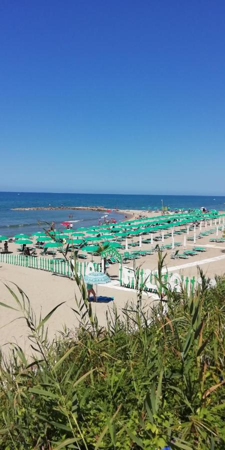 Monolocali E Stanze In A 350 Mt Libera Lido Delle Sirene Affittacamere